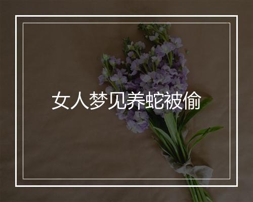 女人梦见养蛇被偷