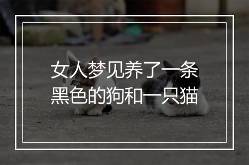 女人梦见养了一条黑色的狗和一只猫