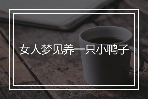 女人梦见养一只小鸭子