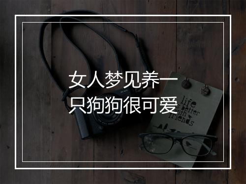 女人梦见养一只狗狗很可爱