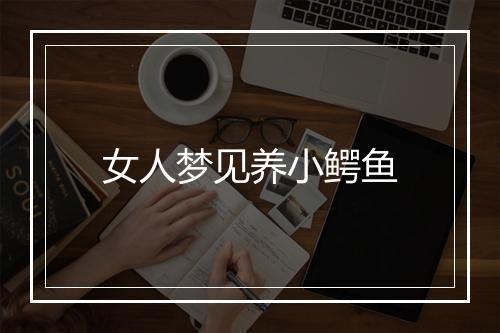 女人梦见养小鳄鱼