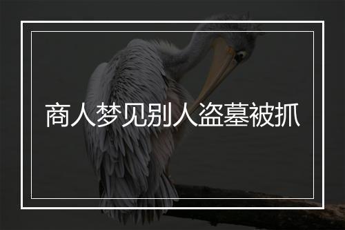 商人梦见别人盗墓被抓