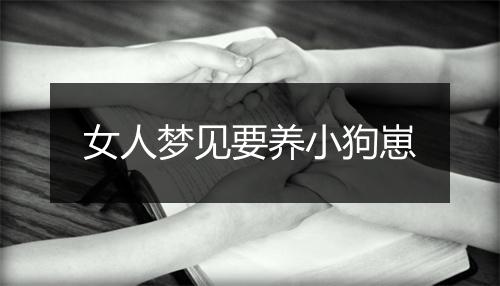 女人梦见要养小狗崽