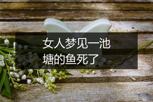 女人梦见一池塘的鱼死了