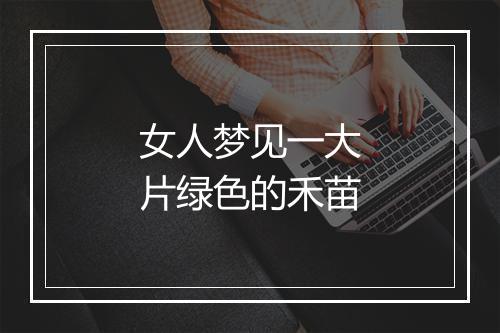 女人梦见一大片绿色的禾苗