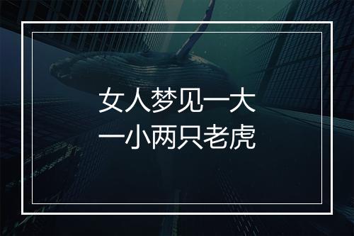 女人梦见一大一小两只老虎