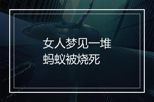 女人梦见一堆蚂蚁被烧死