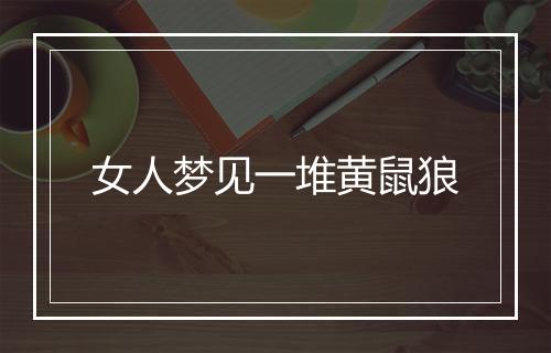 女人梦见一堆黄鼠狼