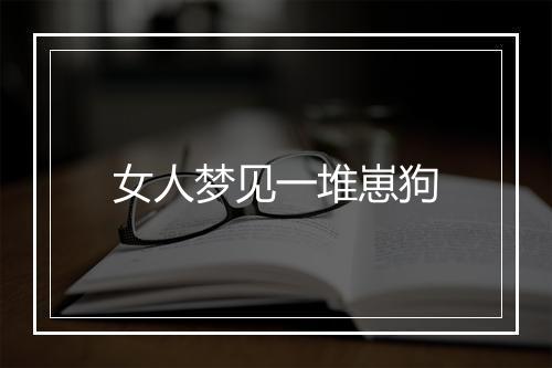 女人梦见一堆崽狗