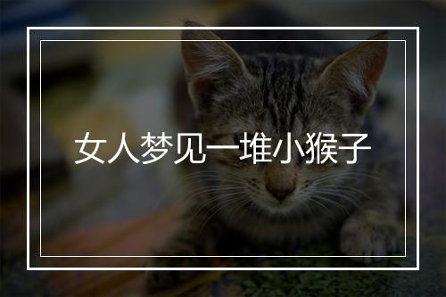 女人梦见一堆小猴子