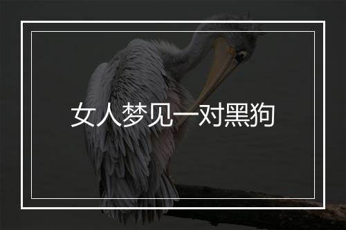 女人梦见一对黑狗