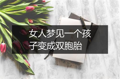 女人梦见一个孩子变成双胞胎