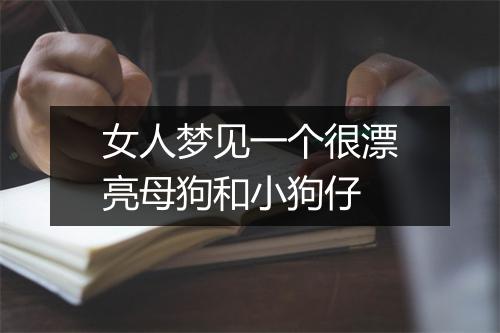 女人梦见一个很漂亮母狗和小狗仔