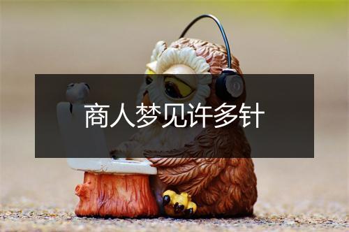 商人梦见许多针