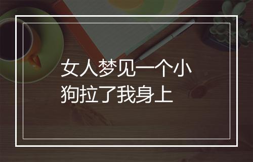 女人梦见一个小狗拉了我身上