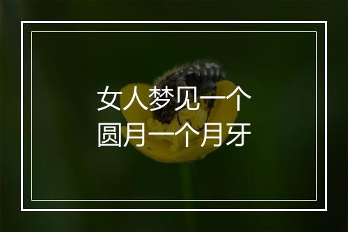 女人梦见一个圆月一个月牙