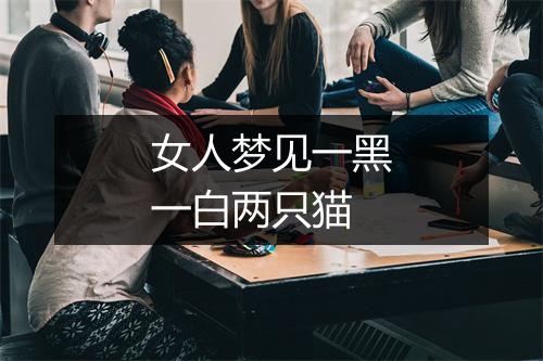 女人梦见一黑一白两只猫