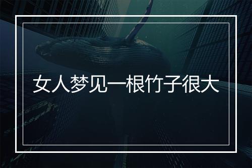 女人梦见一根竹子很大