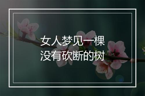 女人梦见一棵没有砍断的树