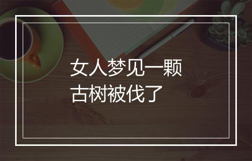 女人梦见一颗古树被伐了