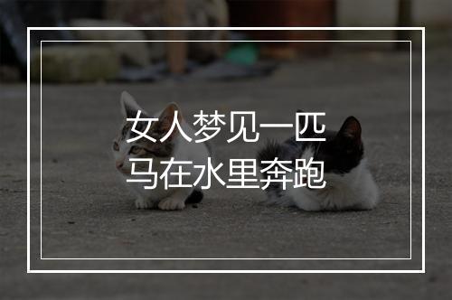 女人梦见一匹马在水里奔跑