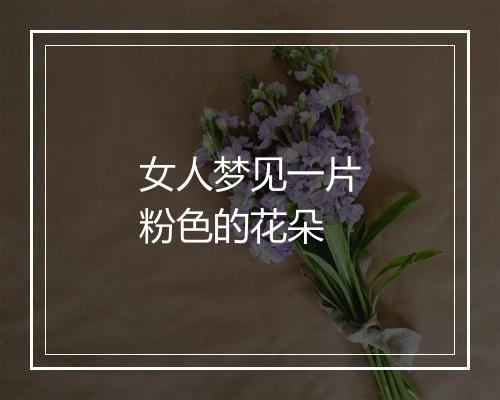 女人梦见一片粉色的花朵