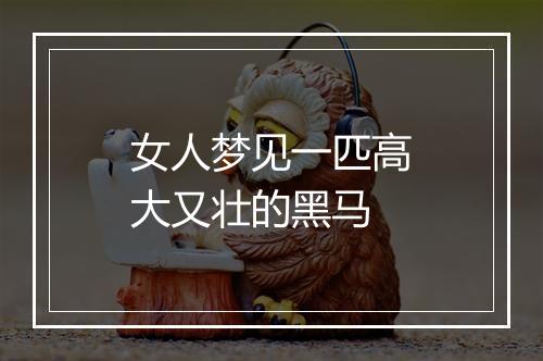 女人梦见一匹高大又壮的黑马