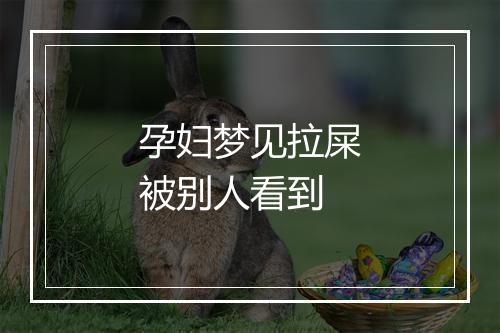 孕妇梦见拉屎被别人看到