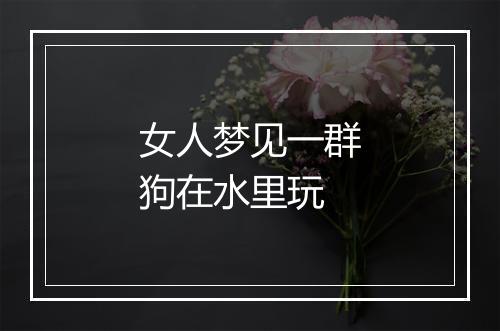 女人梦见一群狗在水里玩