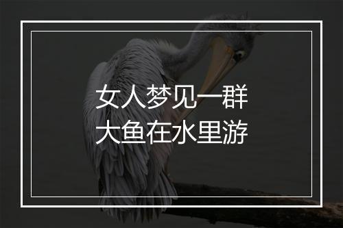 女人梦见一群大鱼在水里游