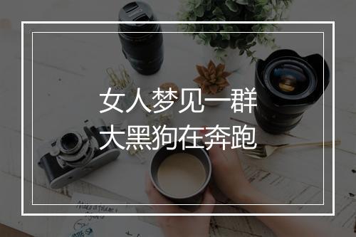 女人梦见一群大黑狗在奔跑