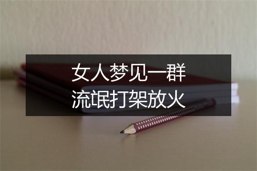 女人梦见一群流氓打架放火