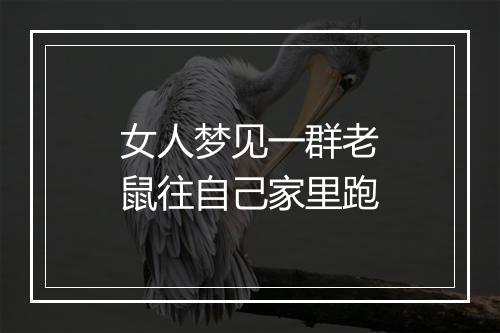 女人梦见一群老鼠往自己家里跑