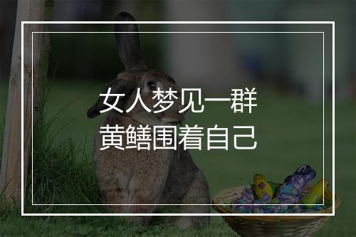 女人梦见一群黄鳝围着自己