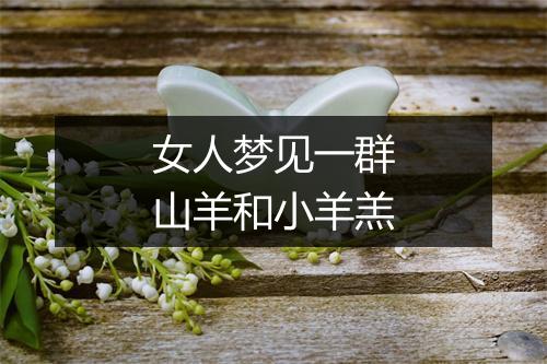 女人梦见一群山羊和小羊羔