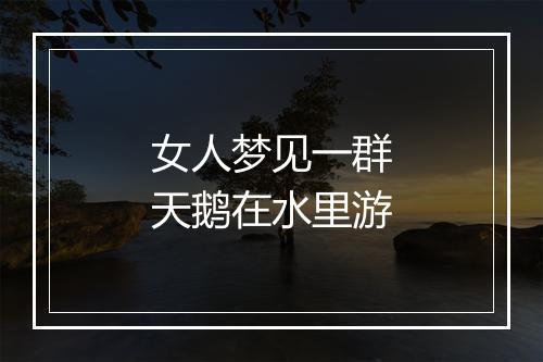 女人梦见一群天鹅在水里游