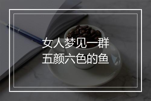 女人梦见一群五颜六色的鱼