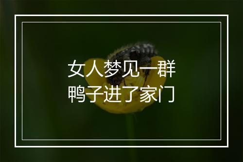 女人梦见一群鸭子进了家门