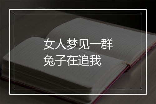 女人梦见一群兔子在追我