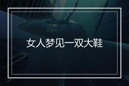 女人梦见一双大鞋