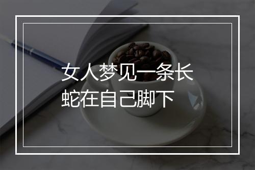 女人梦见一条长蛇在自己脚下