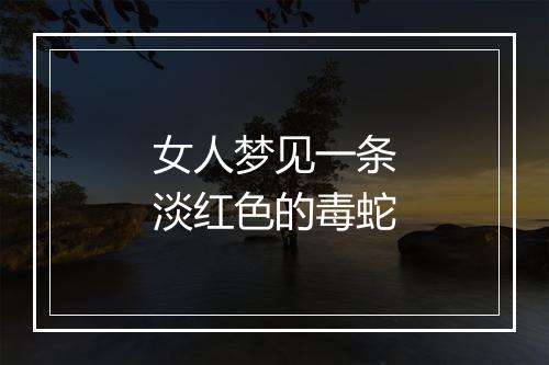 女人梦见一条淡红色的毒蛇