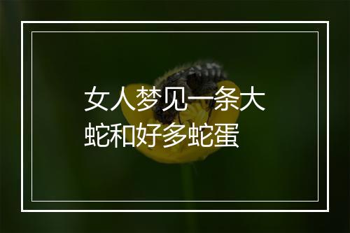 女人梦见一条大蛇和好多蛇蛋