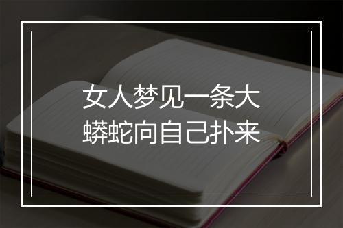 女人梦见一条大蟒蛇向自己扑来