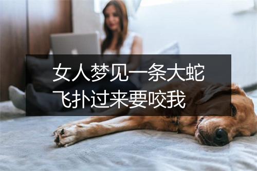 女人梦见一条大蛇飞扑过来要咬我