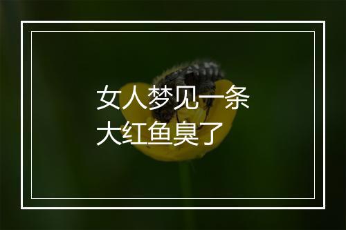 女人梦见一条大红鱼臭了