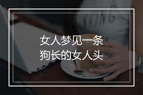 女人梦见一条狗长的女人头