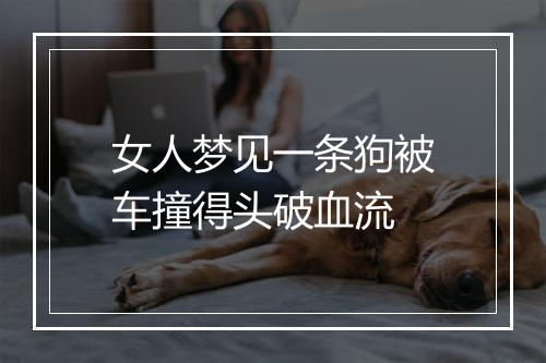 女人梦见一条狗被车撞得头破血流