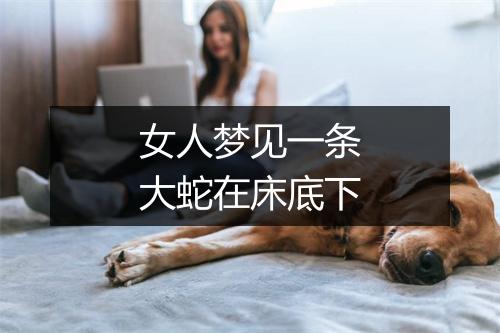 女人梦见一条大蛇在床底下