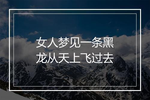 女人梦见一条黑龙从天上飞过去